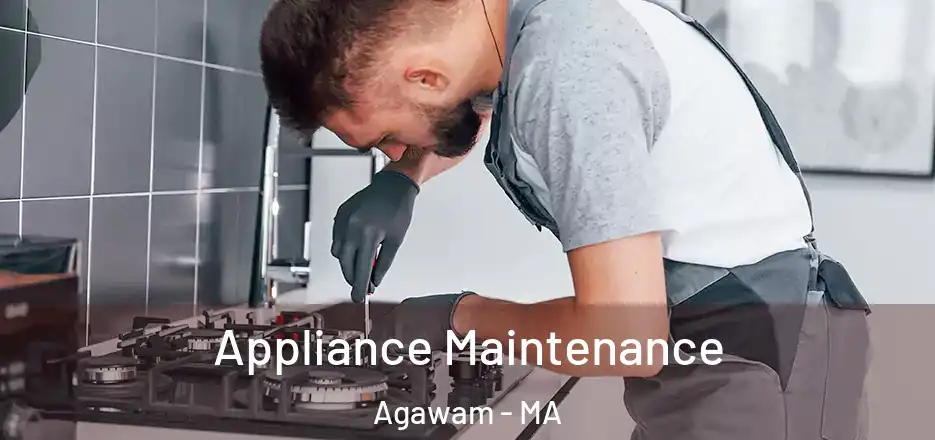 Appliance Maintenance Agawam - MA