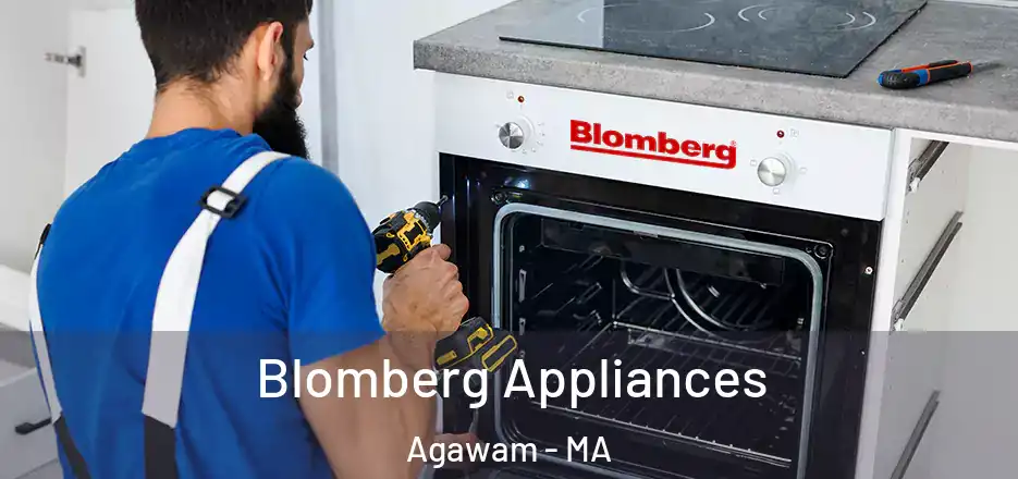  Blomberg Appliances Agawam - MA