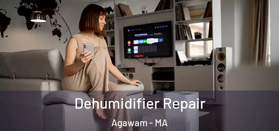  Dehumidifier Repair Agawam - MA