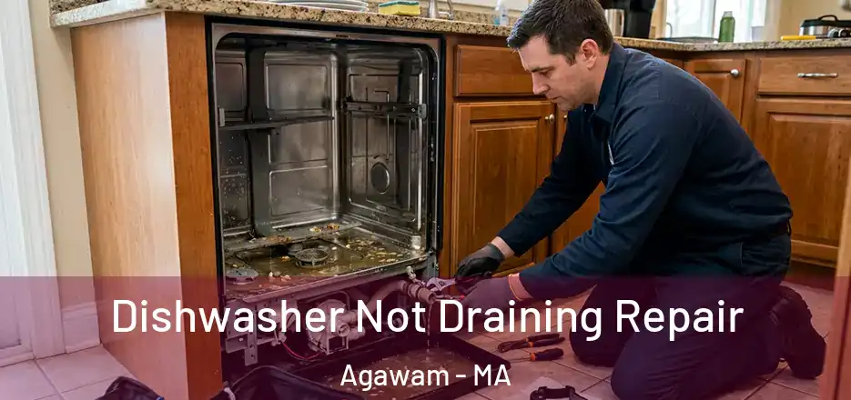  Dishwasher Not Draining Repair Agawam - MA
