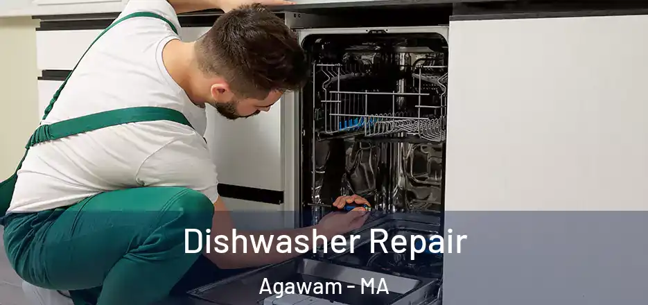 Dishwasher Repair Agawam - MA