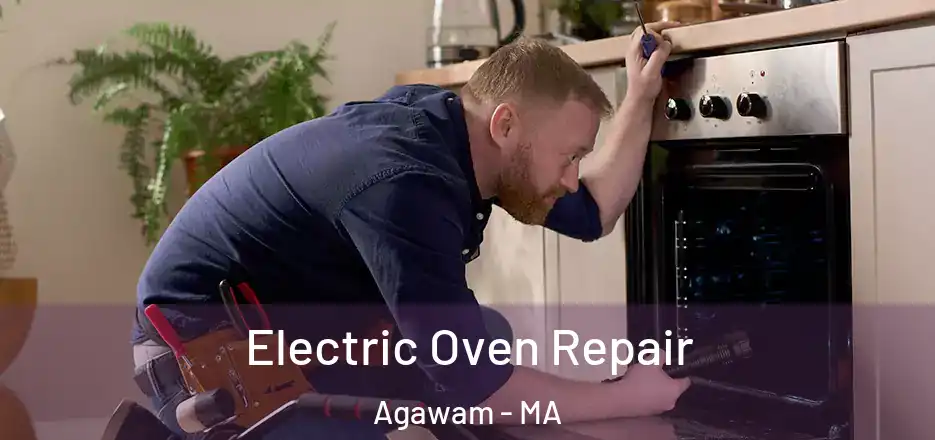 Electric Oven Repair Agawam - MA