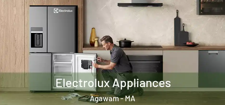  Electrolux Appliances Agawam - MA