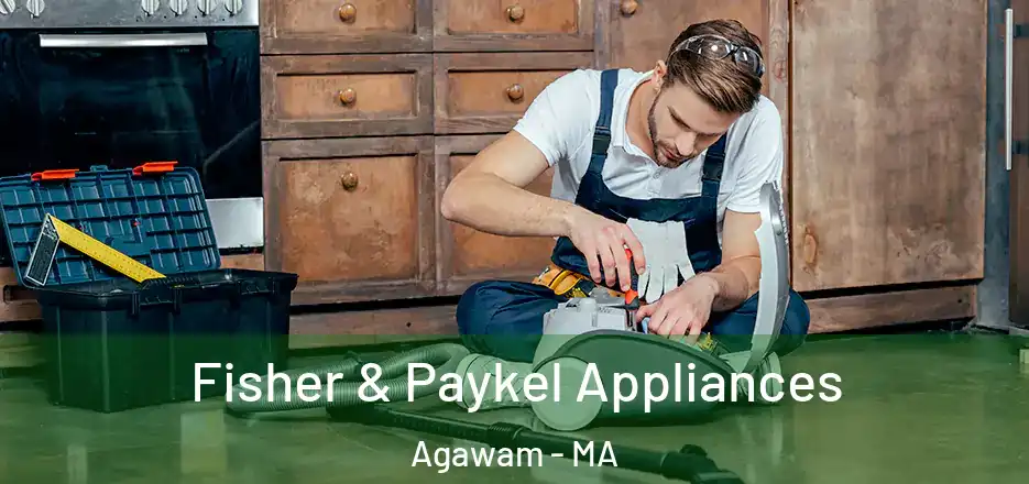  Fisher & Paykel Appliances Agawam - MA
