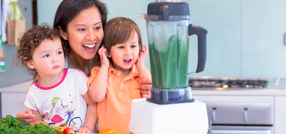 Juicer and Mixer Blender Repair in Agawam
