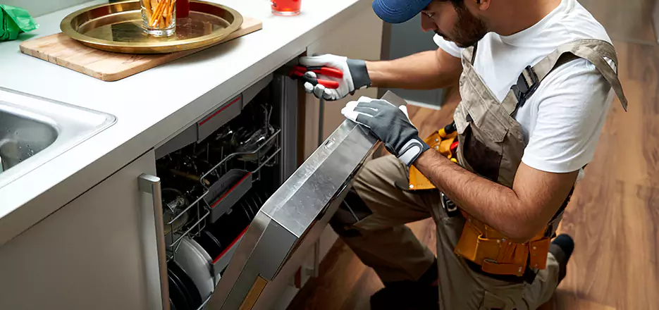 Same Day Dishwasher Not Draining Repair in Agawam