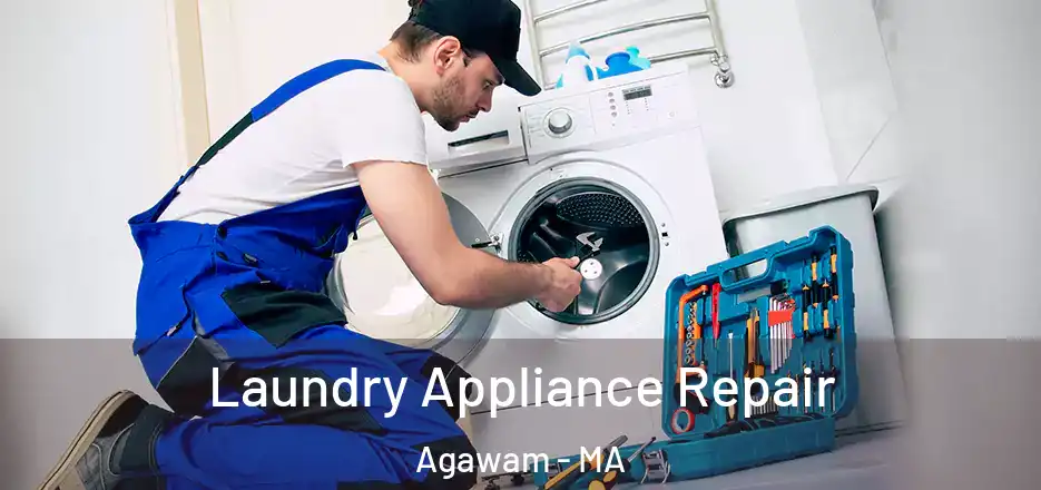  Laundry Appliance Repair Agawam - MA