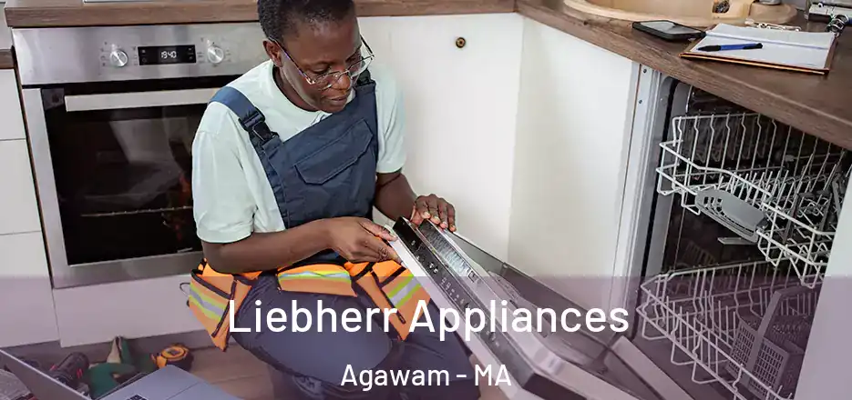  Liebherr Appliances Agawam - MA