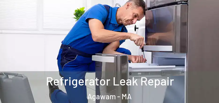 Refrigerator Leak Repair Agawam - MA