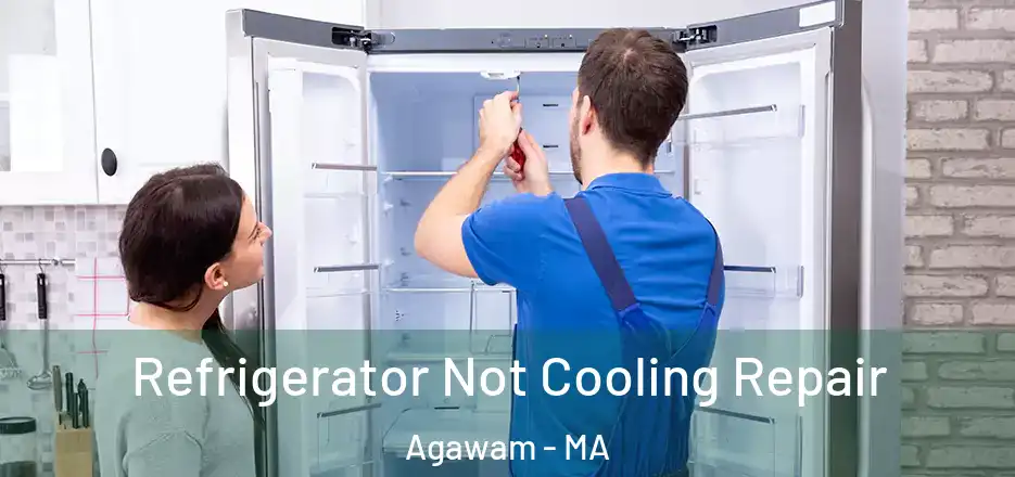 Refrigerator Not Cooling Repair Agawam - MA
