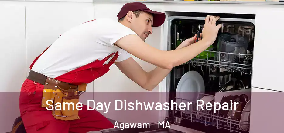  Same Day Dishwasher Repair Agawam - MA