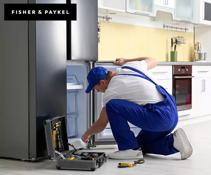Top-Rated Fisher & Paykel Appliance Experts: Your Brand Specialist in Agawam, MA