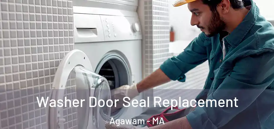  Washer Door Seal Replacement Agawam - MA
