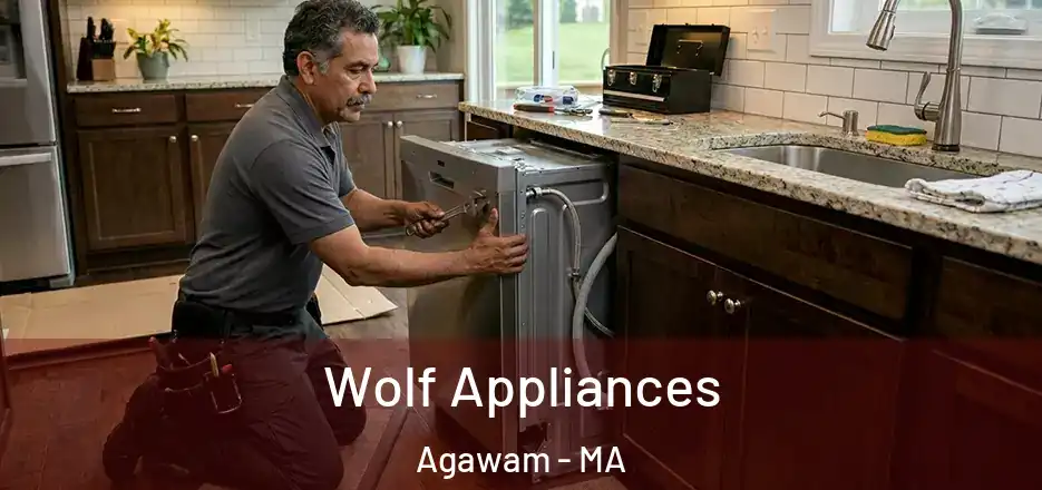 Wolf Appliances Agawam - MA